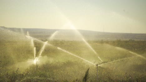 Green-Field-Is-Irrigated-With-Field-Sprinklers.-Irrigation-System-Sprinkler.